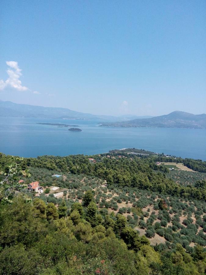 Anastasia - Efthimios Apartments Agios Konstantinos  Luaran gambar